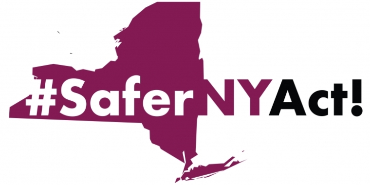 Safer NY logo