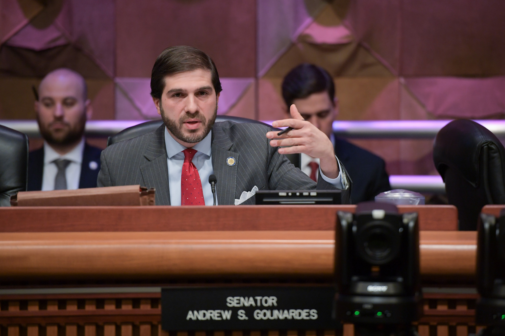 Sen. Gounardes The Senate OneHouse Budget Resolution Includes