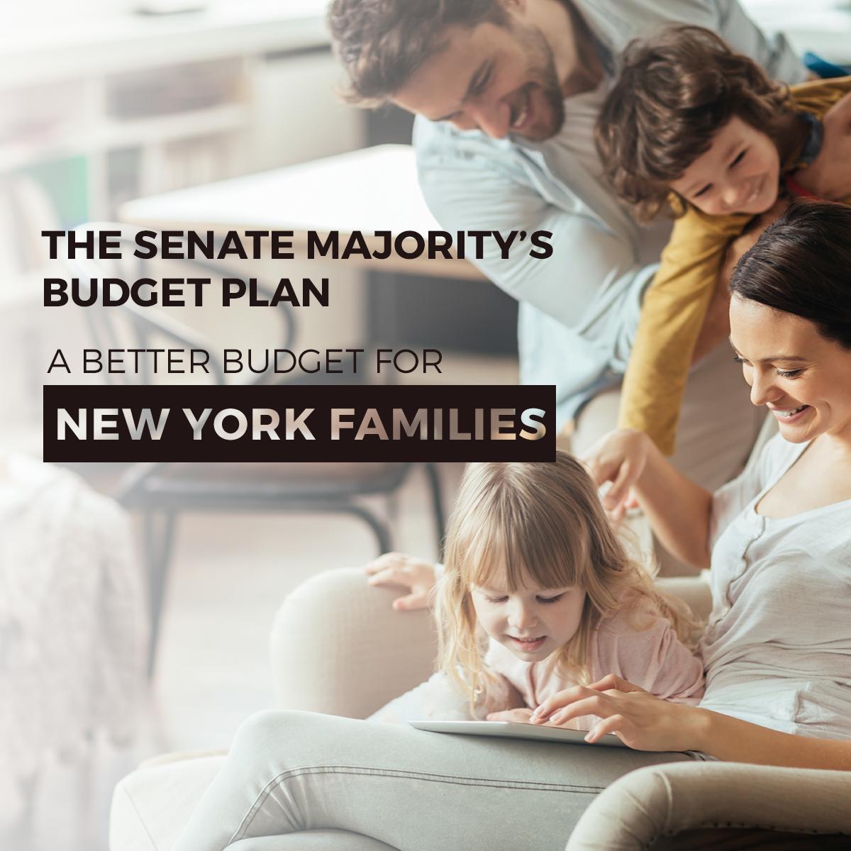 Nys Senate One House Budget 2024 Abra