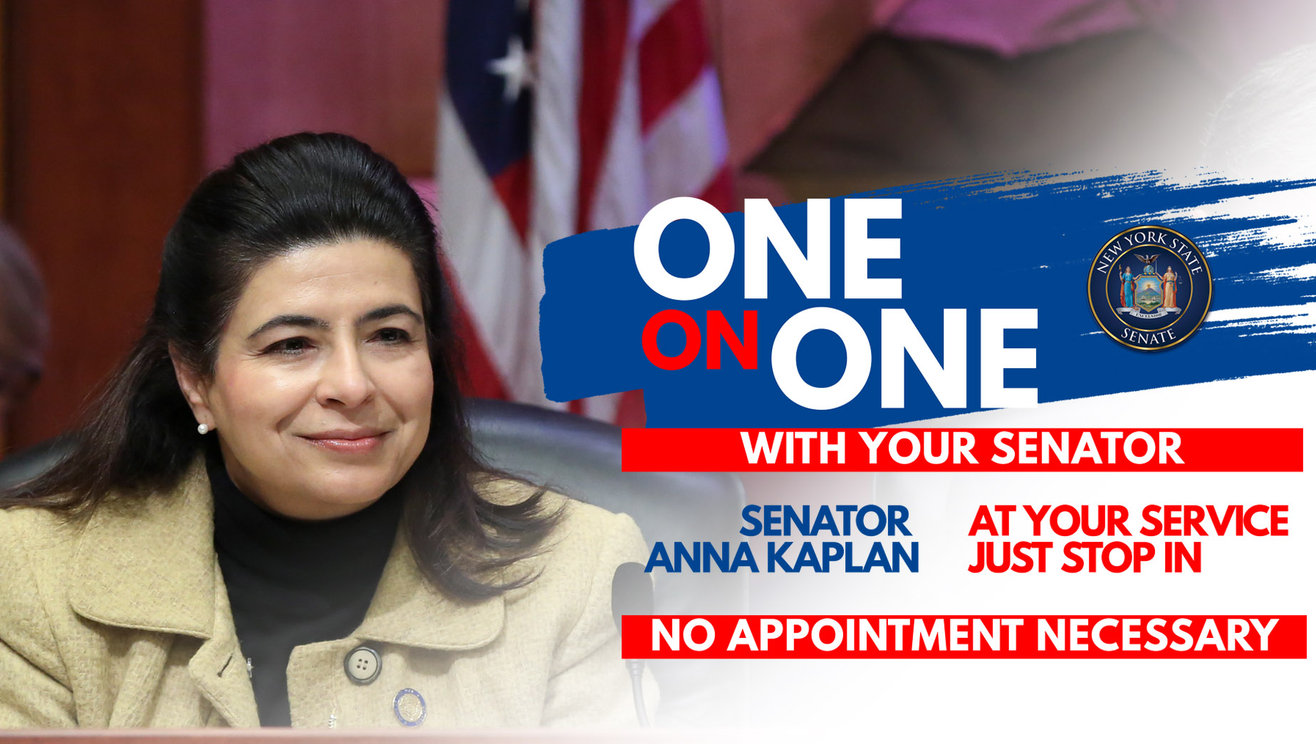 One On One With Your Senator - Anna M. Kaplan | NYSenate.gov