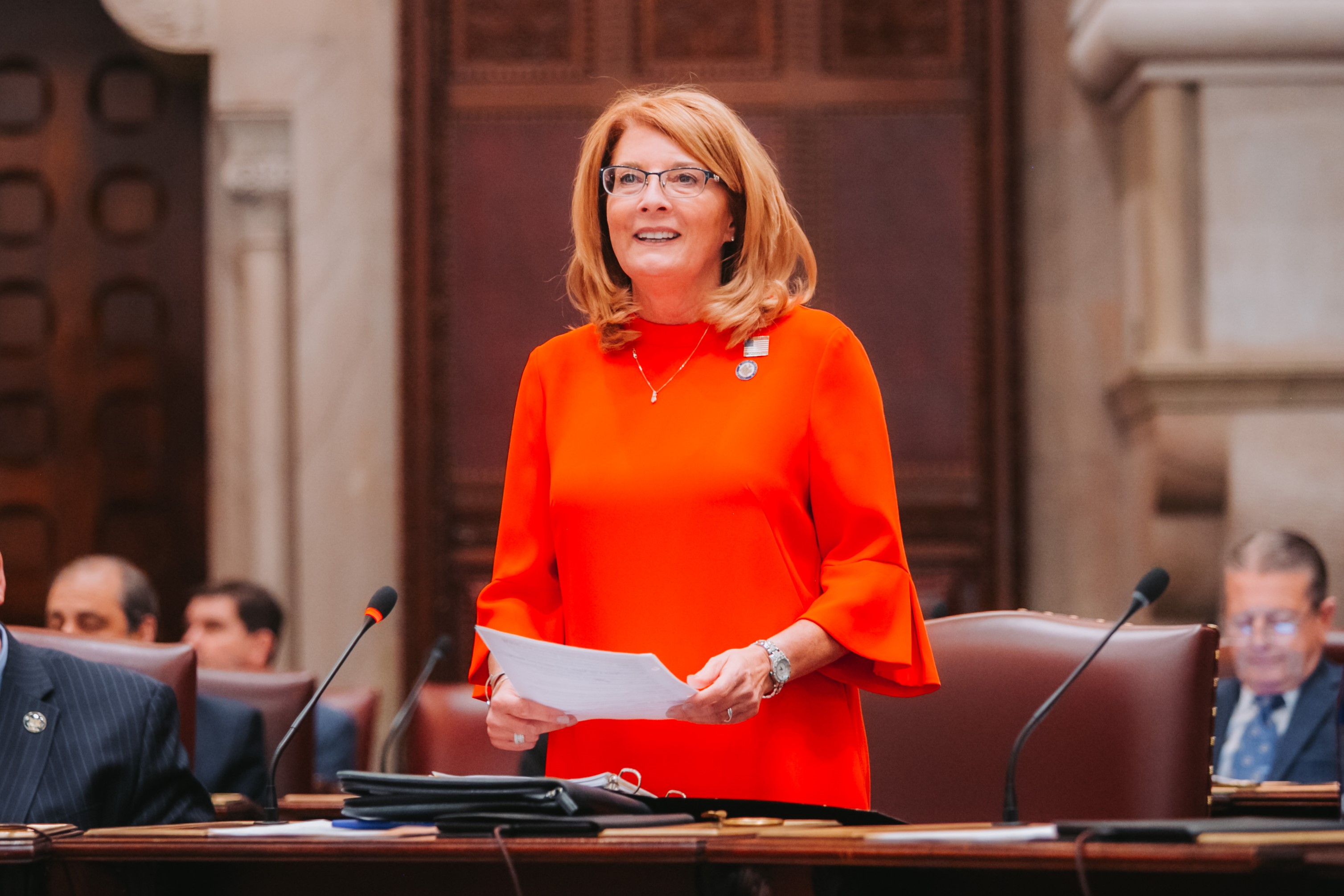 Senator Helming Advocates to State Energy Planning Board for Realistic, Affordable Energy Solutions – The New York State Senate