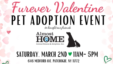 NYS Senator Dean Murray along with fellow colleagues Congressman Andrew Garbarino, NYS Assemblyman Jarett Gandolfo & Joe DeStefano in supporting the 4th Annual Furever Valentine Pet Adoption Event to benefit our friends at Almost Home Animal Rescue and Adoption, Inc. located at 646 Medford Avenue, Patchogue, NY 11772.  Please stop down on Saturday, March 2, 2024, from 11:00am to 5:00pm to adopt a pet and provide them a warm and loving home they deserve.