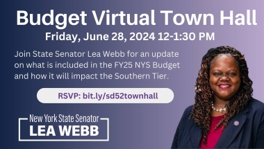 Budget Virtual Town Hall with Senator Lea Webb
