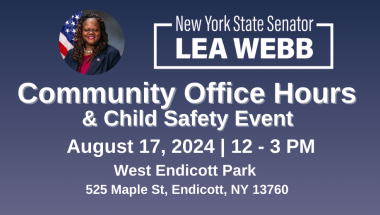 New York State Senator Lea Webb Holds Community Office Hours & Child Safety Event at West Endicott Park in Town of Union