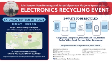 Electronic Recycling Details