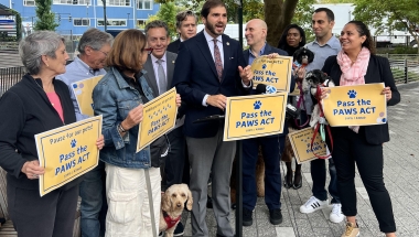 Senator Andrew Gounardes joins colleagues and advocates at Chelsea Dog Park to introduce the PAWS Act