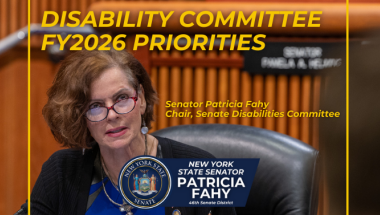 Senator Fahy's Disability Committee Priorities