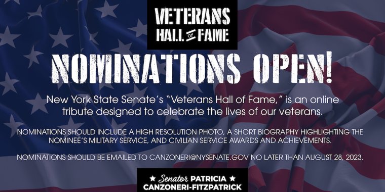 Nominations are NOW OPEN for the State Senate's VETERANS HALL OF FAME! 