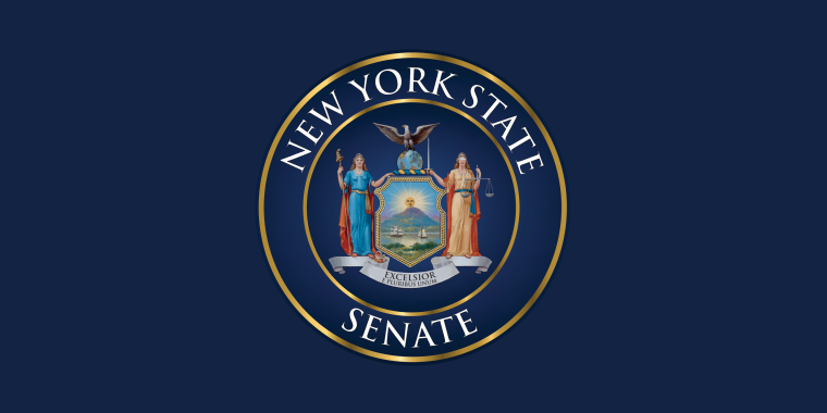 Senator Michelle Hinchey