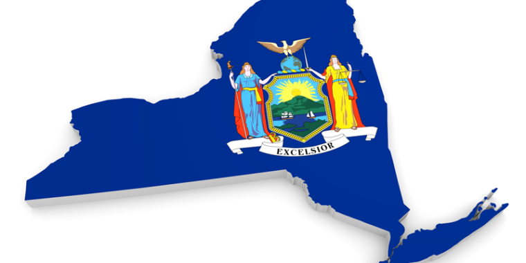 NYS logo