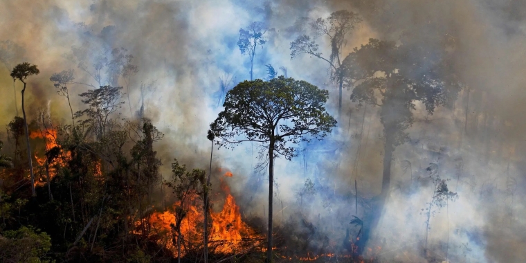 Krueger, Zebrowski To Introduce Amended Tropical Deforestation Legislation