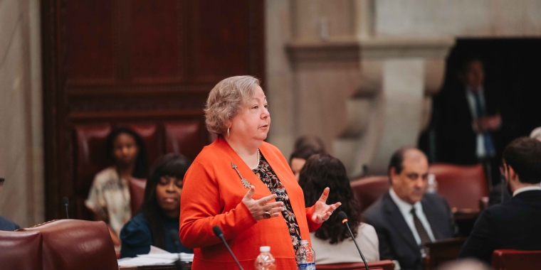 Senator Krueger speaks on the Senate floor