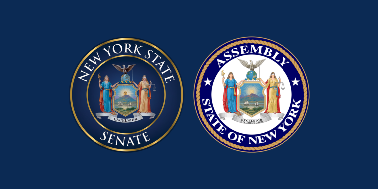 Senator Michelle Hinchey