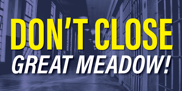 Keep Great Meadow Open!