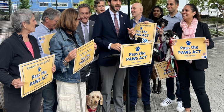 Senator Andrew Gounardes joins colleagues and advocates at Chelsea Dog Park to introduce the PAWS Act