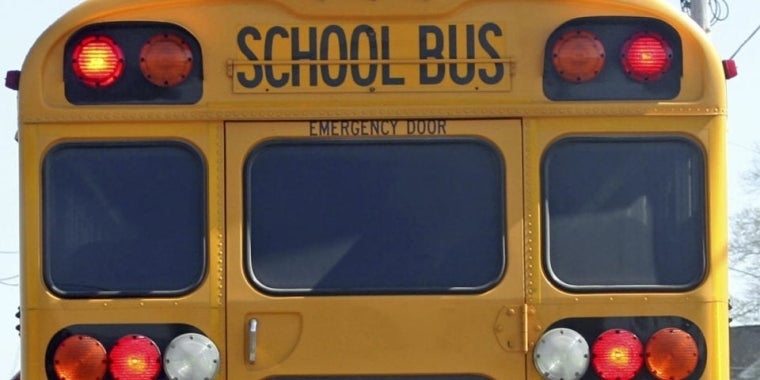 School Bus rear view School Bus rear view