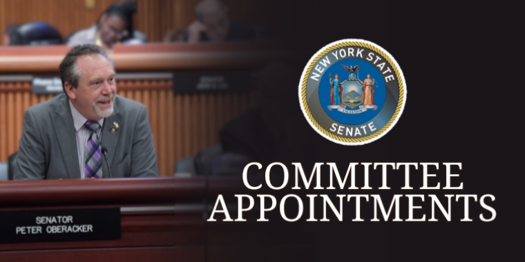 Senator Oberacker in Committee Hearing Senator Oberacker in Committee Hearing
