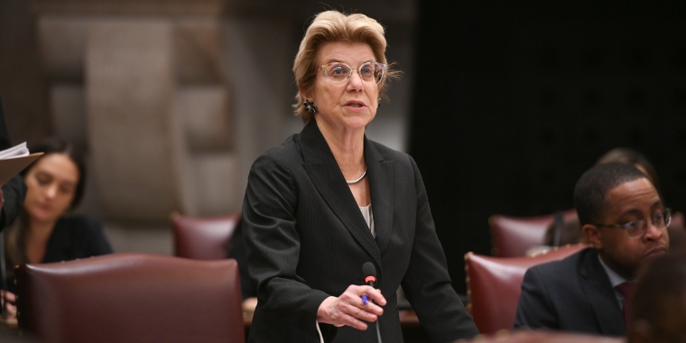 Senator Mayer on the Senate Floor 