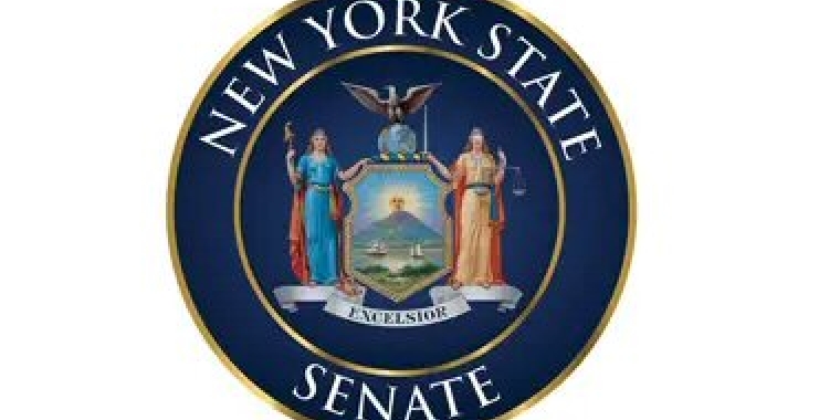 NYS Senate Logo