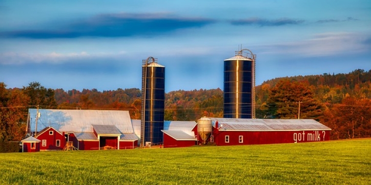 photo of a farm