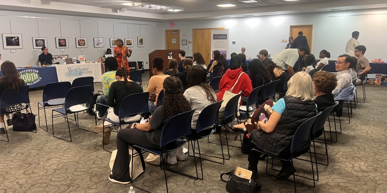 Majority Leader Andrea Stewart-Cousins hosted her Annual Social Justice Fair for members of her Youth Advisory Council (YAC) at the Greenburgh Public Library