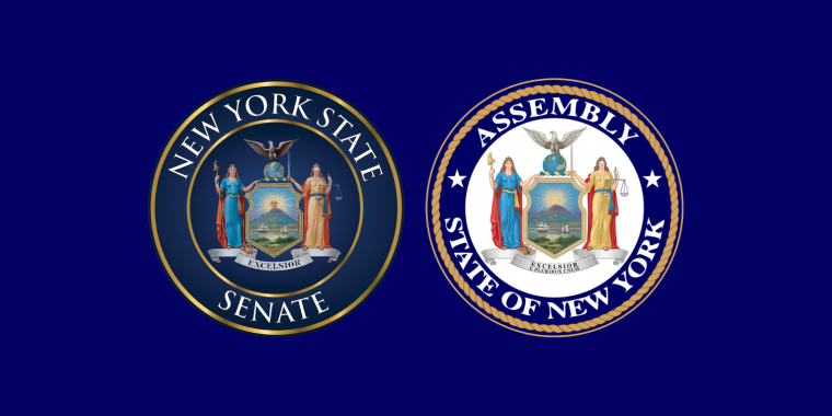 Senator Michelle Hinchey