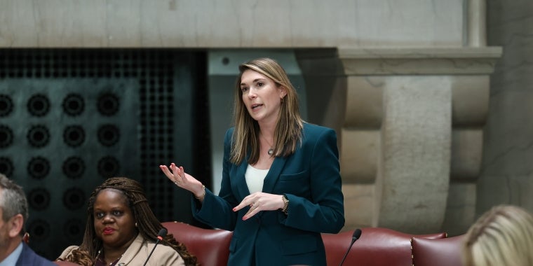 March 19, 2025: NYS Senator Michelle Hinchey speaks on the Senate Floor. Senator Michelle Hinchey