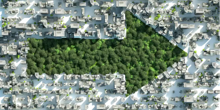 Credit: Getty Images, source, Times Union  Green arrow of trees