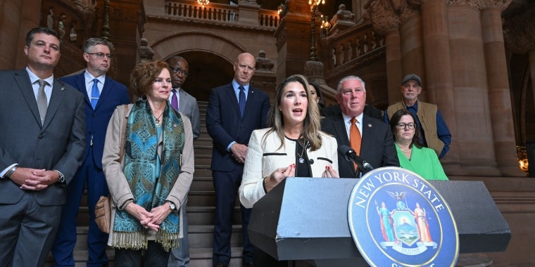 Senator Michelle Hinchey