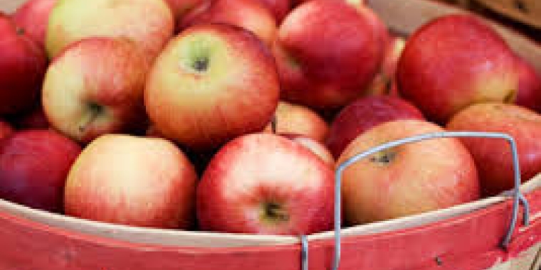 Apple Fruits, varieties, production, seasonality