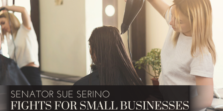 Senator Sue Serino Protects Small Businesses