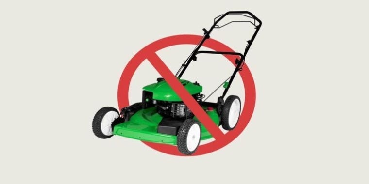 Senator O’Mara criticized legislation to ban the sale of gas-powered lawn mowers in New York State. Senator