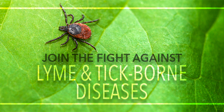 “We’ve taken important actions over the past few years to broaden the state’s overall response to the spread of Lyme and other tick-borne diseases, but much more needs to be done, particularly in the areas of reporting, testing and treatment, and education and awareness," said Senator O'Mara.