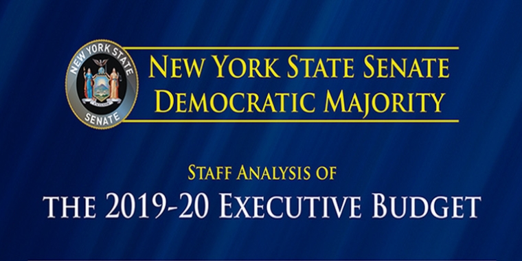 FY2020 Executive Budget - The Blue Book