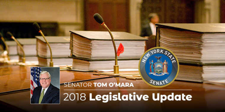 In his December 2018 "Legislative Update," Senator O'Mara looks ahead to the 2019 session of the New York State Legislature. In his December 2018 "Legislative Update," Senator O'Mara looks ahead to the 2019 session of the New York State Legislature.