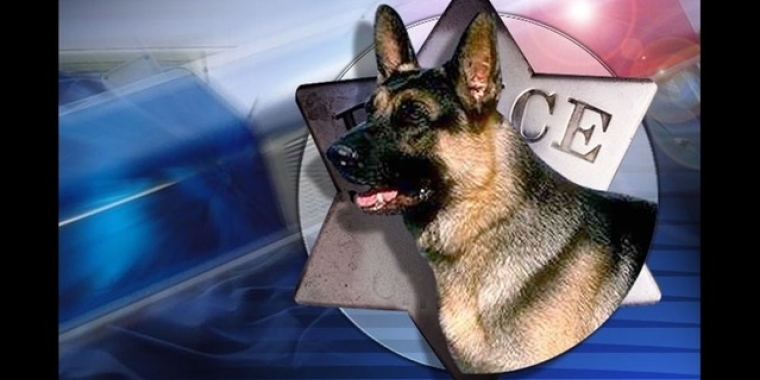 "These amazing police work dogs, as well as police work horses, have earned and deserve this action to protect their safety," said Senator O'Mara.