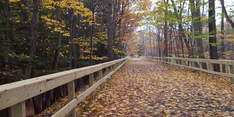 "These investments will go a long way toward securing the future quality and strength of the Finger Lakes region’s recreational and tourism foundations,” said Senator O'Mara, Chairman of the Senate Envrionmental Conservation Committee.