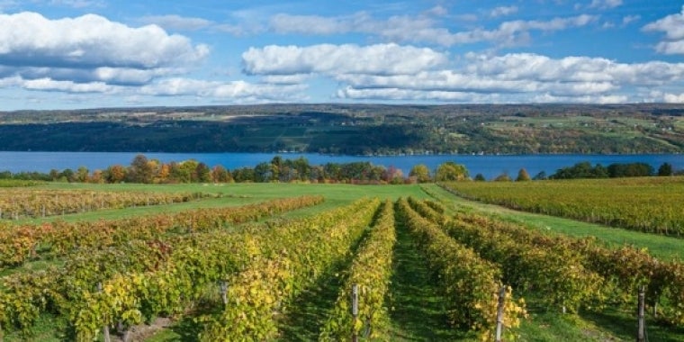 "This Open Space Conservation Plan puts forth important short- and long- term ideas to achieve common goals across the Southern Tier and Finger Lakes, and statewide," said Senator O'Mara, chairman of the Senate Environmental Conservation Committee.