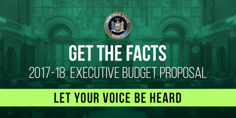 Senator O’Mara said that the next step in this year’s budget adoption process is for state legislators, local leaders and the public to begin analyzing the details of the new Cuomo plan and assessing its impact on specific programs and services.