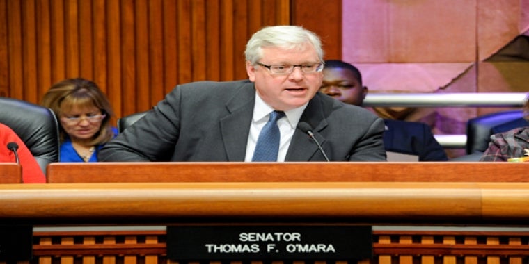Senator O'Mara at a state budget hearing earlier this year.