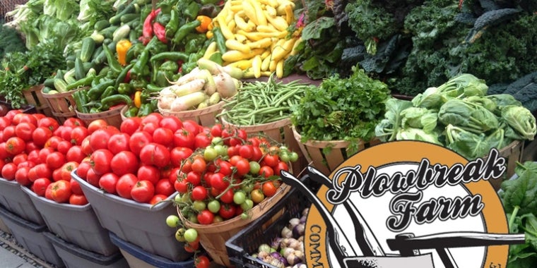 Plowbreak Farm in Burdett (Schuyler County) and Van Noble Farm in Enfield (Tompkins County) are receiving grants.