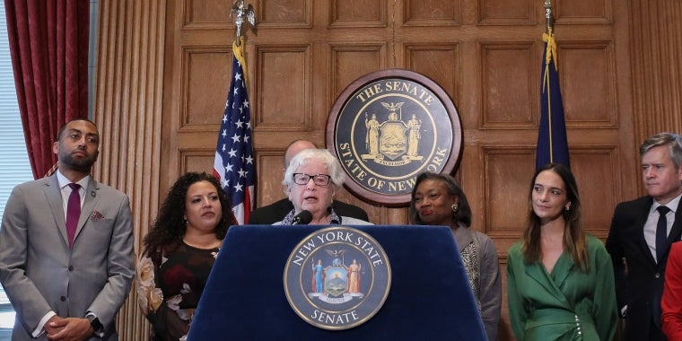 Senator Toby Ann Stavisky speaks at a press conference at the State Capitol, urging the passage of Victims’ Rights Legislation in the State Senate.
