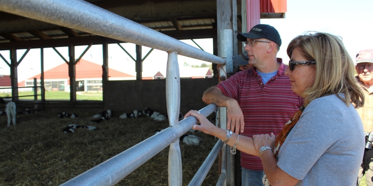 Senator Pam Helming looks into one of the calf pens at EL-VI Farms in Newark, as Kim Skellie – a partner in the operation that farms 3,500 acres and milks 1,700 cows – explains the calf feeding system during a tour on Tuesday, Oct. 4.