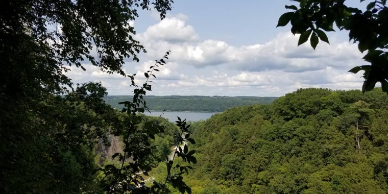 Image of Cayuga Lake