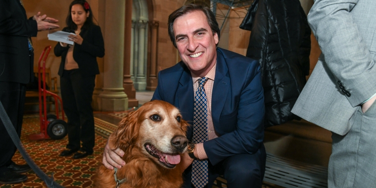 Dogs For Senate