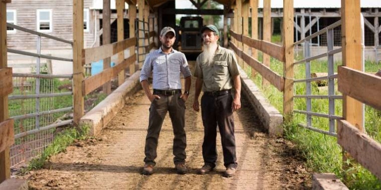 Photo from pellehpoultry.com