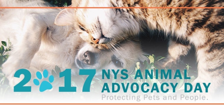 STATE SENATE PARTICIPATES IN ANIMAL ADVOCACY DAY