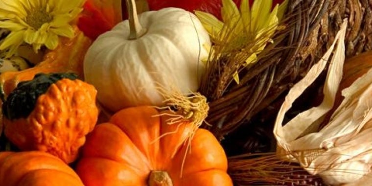 Happy Thanksgiving to everyone across the Southern Tier and Finger Lakes regions.